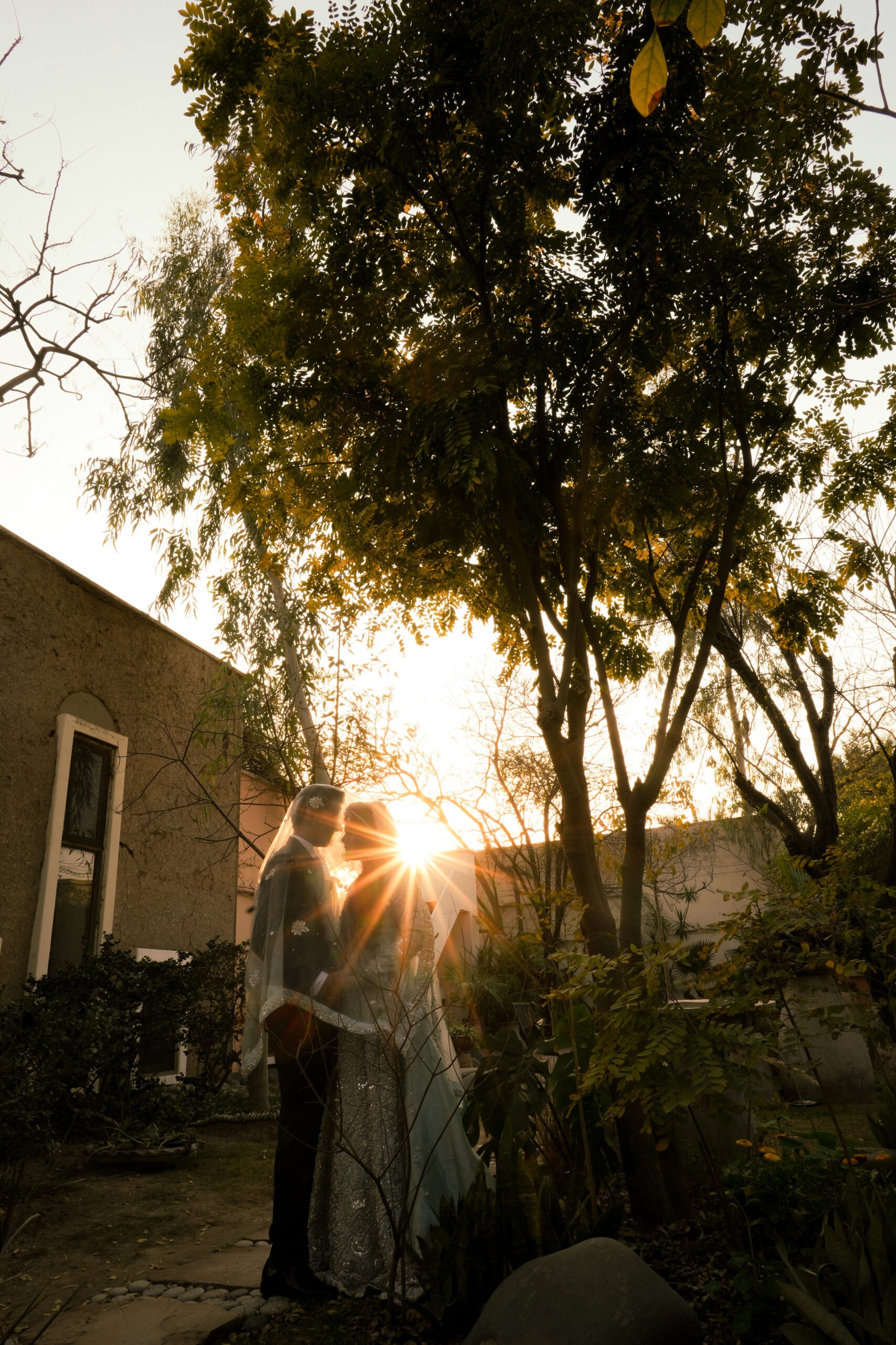 Wedding Photo